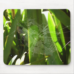 Tapis De Souris Spiderweb dans Tropical Leaves Nature