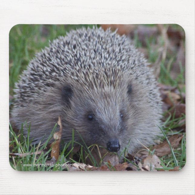 Tapis de souris Spike (Devant)