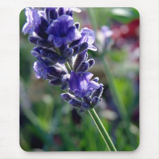 Tapis De Souris Spike aux fleurs violettes (Devant)