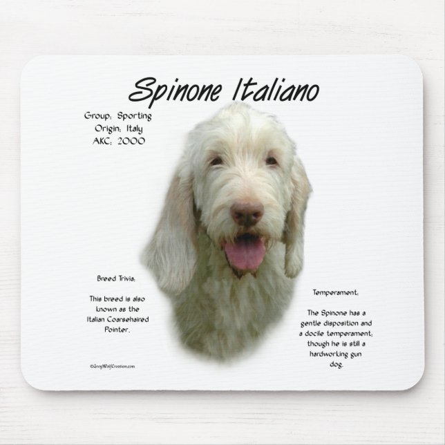 Tapis De Souris Spinone Italiano Histoire Design (Devant)