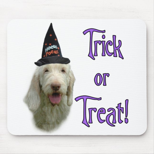 Tapis De Souris Spinone Trick Mousepad (Devant)