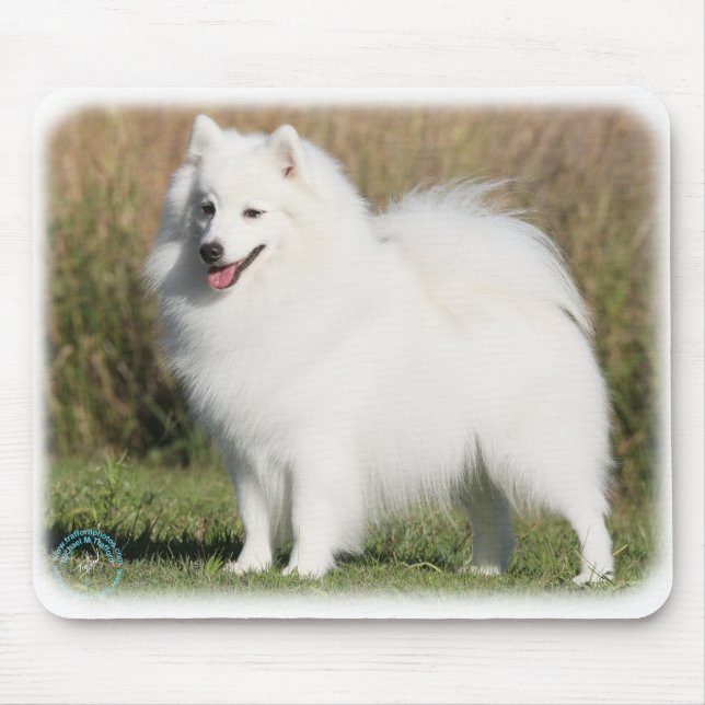 Tapis De Souris Spitz japonais 9Y576D-261 (Devant)