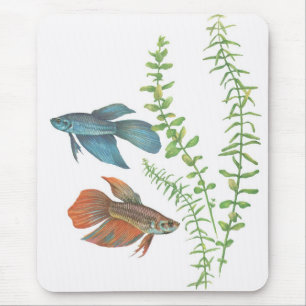 Tapis De Souris Splendens de Betta et blanc indica de Rotala
