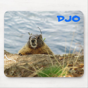 Tapis De Souris Spokane Marmot says, "Sup? Got a carrot?"