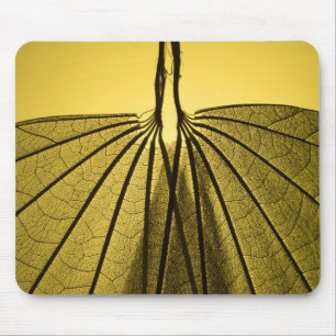 Tapis De Souris Squelette de feuille