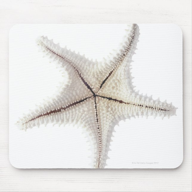 Tapis De Souris Squelette de Starfish, gros plan (Devant)