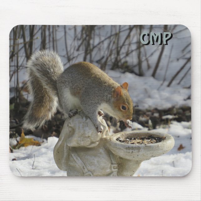 Tapis De Souris Squirrel And Bird Feeder with Your Initials (Devant)