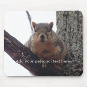 Tapis De Souris Squirrel looking at your mouse pad
