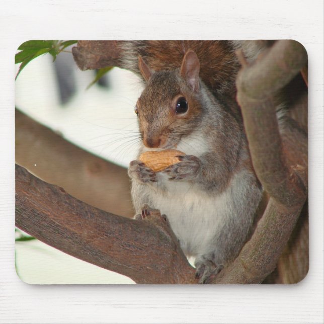 Tapis De Souris squirrelfriend (Devant)