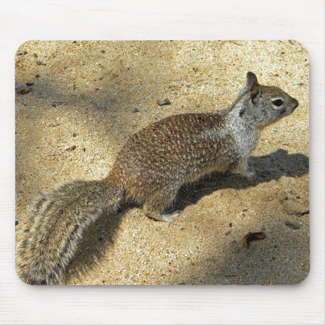 Tapis De Souris Squirrell (Devant)