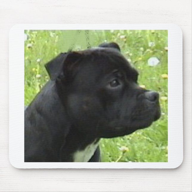 Tapis De Souris staffy.png (Devant)
