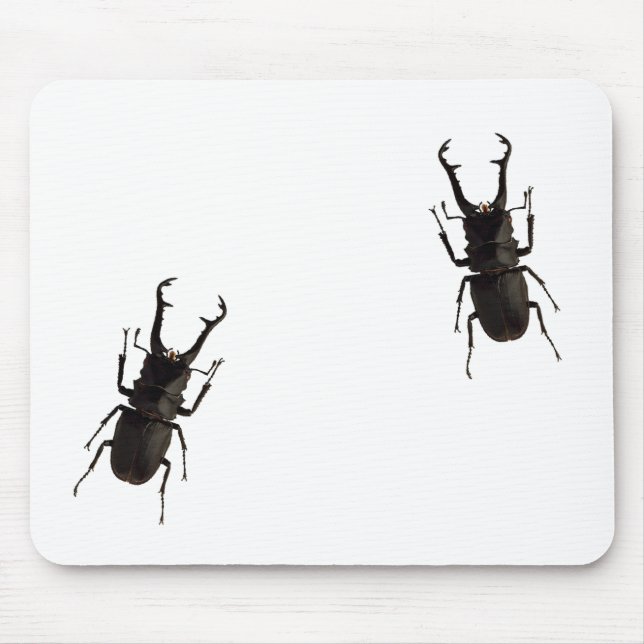 Tapis De Souris Stag Beetle (Devant)