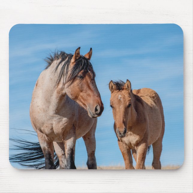 Tapis De Souris Stallion Mustang sauvage et poulain Cheval sauvage (Devant)