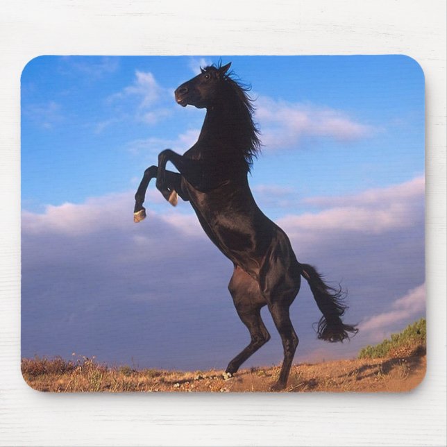 Tapis De Souris Stallion noir (Devant)