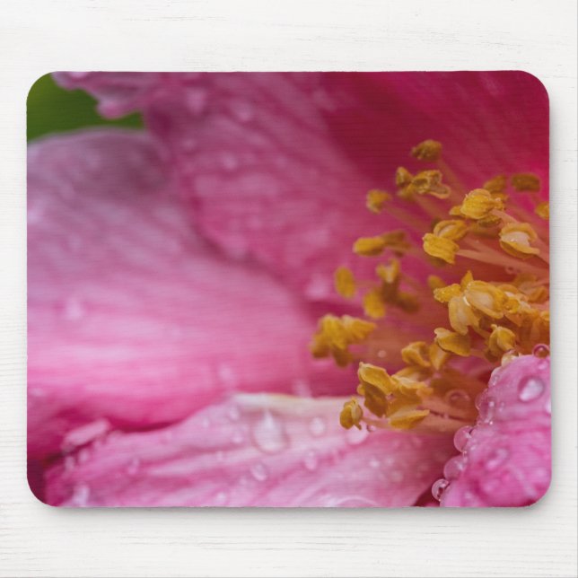 Tapis De Souris Stampes à fleurs de Camellia rose (Devant)