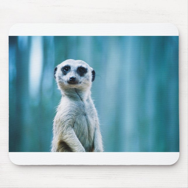 Tapis De Souris Staredown de Meerkat (Devant)