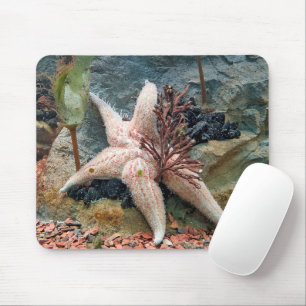 Tapis De Souris Starfish Sur Plante Aquatique