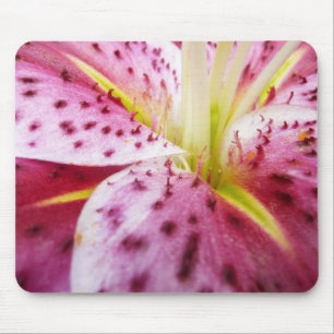 Tapis De Souris Stargazer Lily brillant Magenta Floral