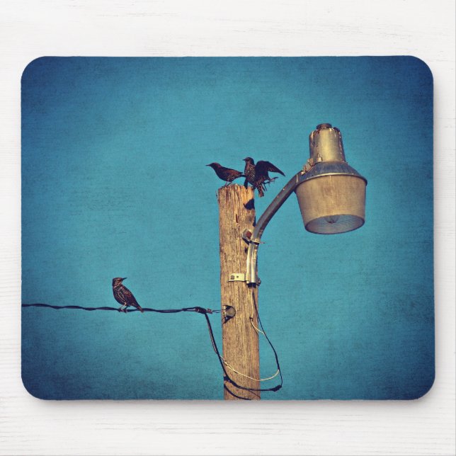 Tapis De Souris Starlings (Devant)