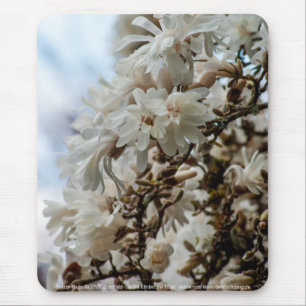 Tapis De Souris Starry Magnolia 5781