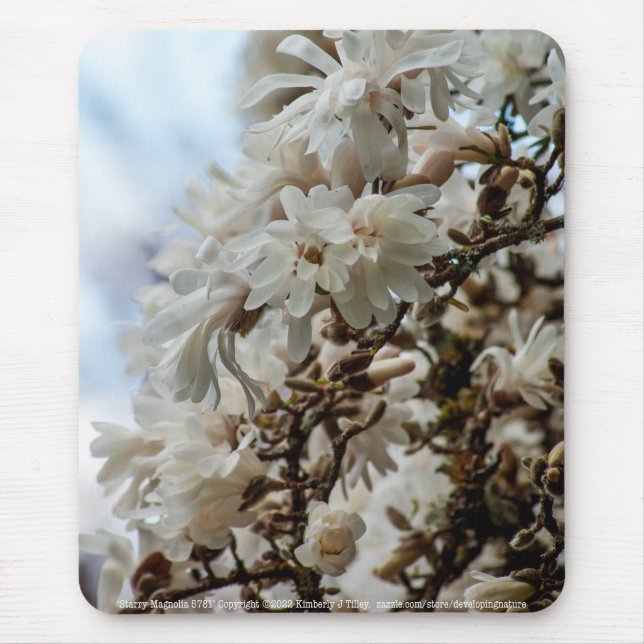 Tapis De Souris Starry Magnolia 5781 (Devant)