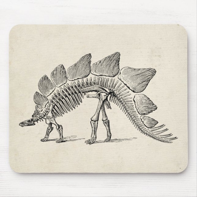 Tapis De Souris Stegosaurus Dinosaure Squelette Fossile (Devant)