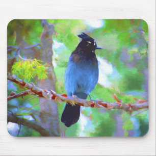 Tapis De Souris Steller's Jay Painting - Art original pour oiseaux