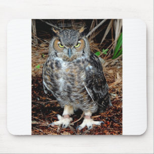 Tapis De Souris Stern Owl