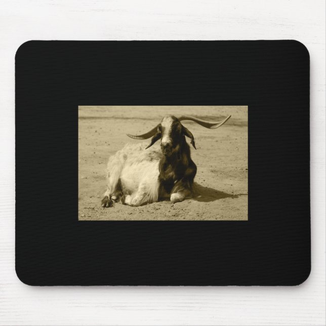 Tapis De Souris Sticker Benidorm Tint Myotonic Chèvre Relaxé (Devant)