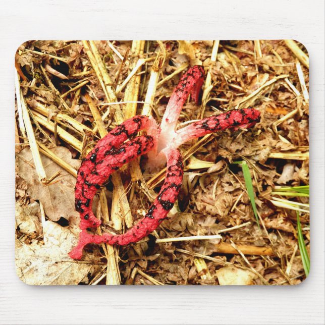 Tapis De Souris Stinkhorn de poulpe (Devant)