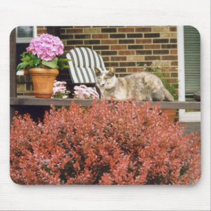 Tapis De Souris Strinka