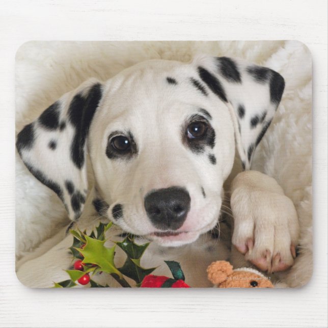 Tapis De Souris studio (Devant)