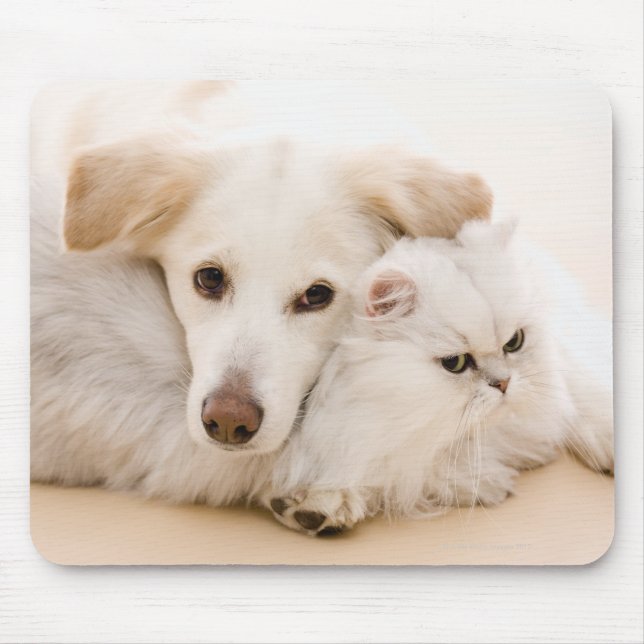 Tapis De Souris Studio photo de chat et chien (Devant)