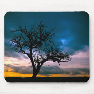 Tapis De Souris Stunning scenery - tree silhouette, sunset, moody