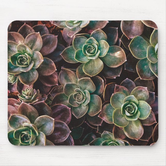 Tapis De Souris Succulent (Devant)