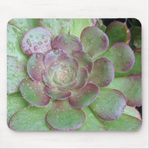 Tapis De Souris Succulent