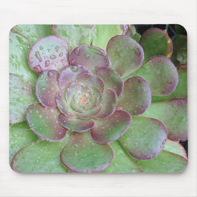 Tapis De Souris Succulent (Devant)