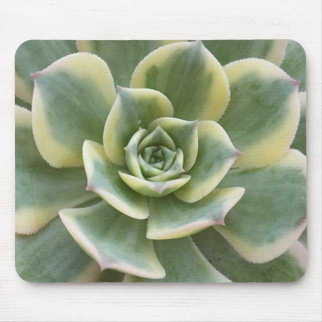 Tapis De Souris Succulent (Devant)