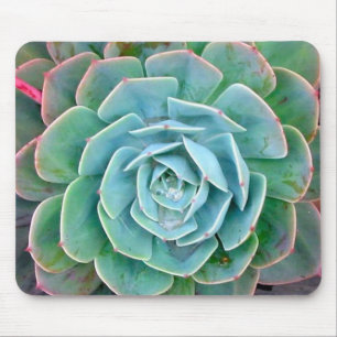 Tapis De Souris Succulent