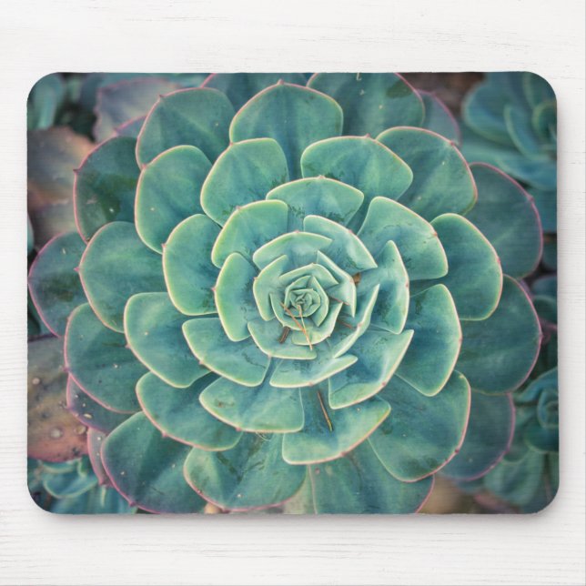 Tapis De Souris Succulent en gros plan (Devant)