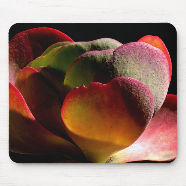 Tapis De Souris Succulent Plante du désert (Devant)