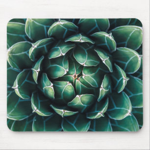 Tapis De Souris Succulent vert et blanc