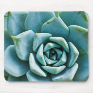 Tapis De Souris Succulente