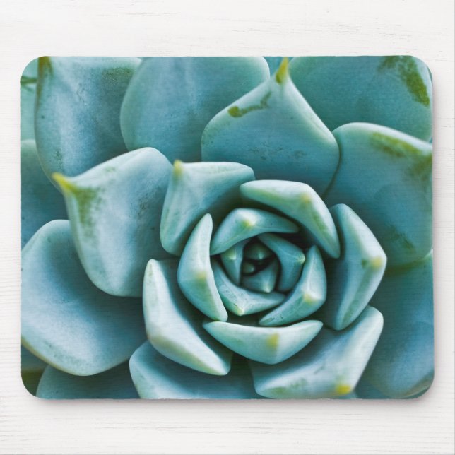 Tapis De Souris Succulente (Devant)