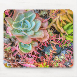 Tapis De Souris Succulents