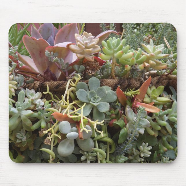 Tapis De Souris Succulents (Devant)