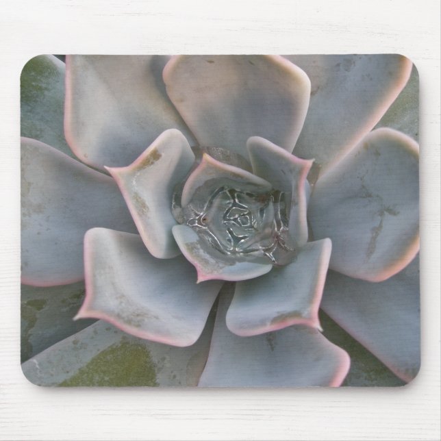 Tapis De Souris Succulents colorés Mousepad #1 (Devant)