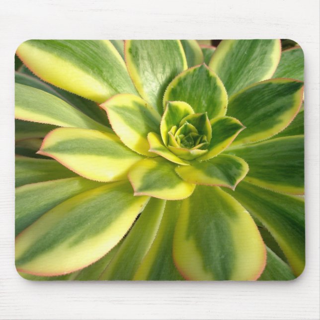 Tapis De Souris Succulents colorés Mousepad #2 (Devant)