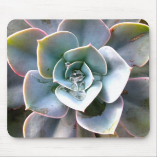 Tapis De Souris Succulents colorés Mousepad #3