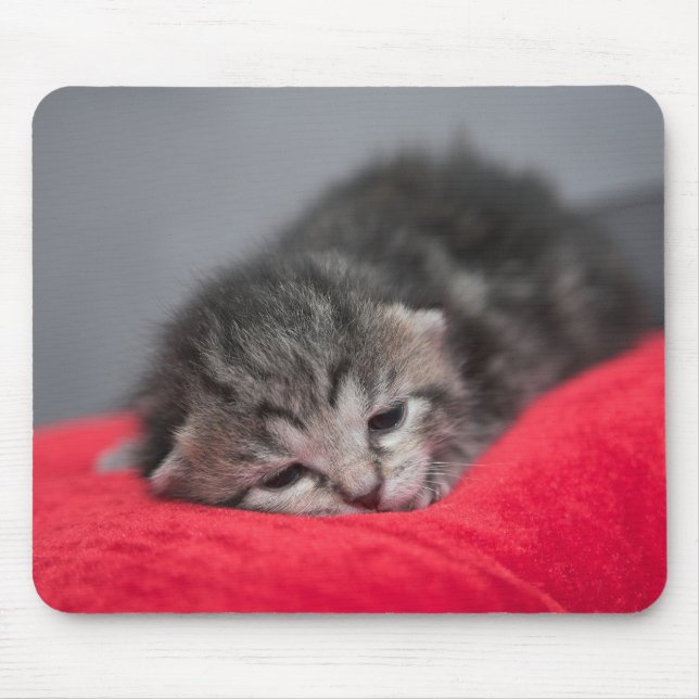 Tapis De Souris Sucré chaton (Devant)